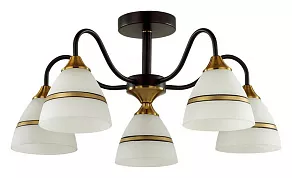 Люстра на штанге Lumion Nettie 5214/5C