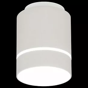Накладной светильник Citilux Борн CL745010N