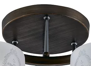 Потолочная люстра Odeon Light Runita 2759/6C