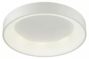 Накладной светильник Odeon Light Sole 4062/50CL