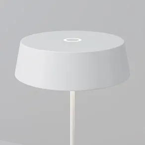 Наземный низкий светильник Maytoni Outdoor Porto O540TL-L2WCCT