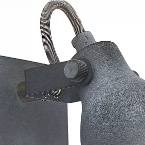 Бра Arte Lamp 9189 A9189AP-1GY