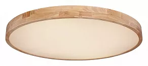 Накладной светильник Globo Rainer 41745-60
