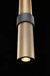 Подвесной светильник Aployt Beasia APL.614.16.01