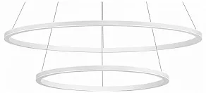 Подвесной светильник ST-Luce ST604 OUT ST604.543.56