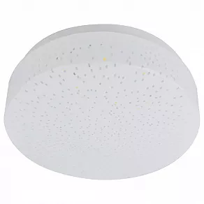 Накладной светильник Arte Lamp 3206 A3206PL-1WH
