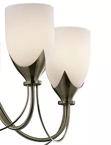 Подвесная люстра Odeon Light Risto 2079/5