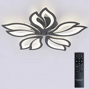 Потолочная люстра Natali Kovaltseva FORTUNA LED LAMPS 81107/5C