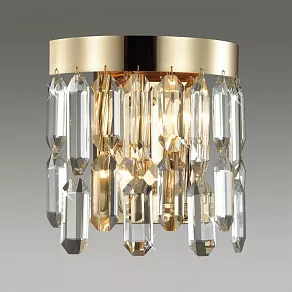 Накладной светильник Odeon Light Dakisa 4986/2W