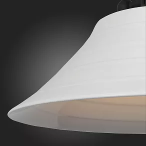 Подвесной светильник ST-Luce Pittura SL261.503.01