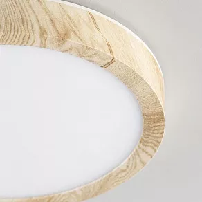 Накладной светильник Citilux Бейсик CL738122N