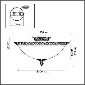 Накладной светильник Odeon Light Maipa 2587/3C