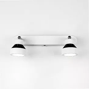 Спот Citilux Данди CL557521