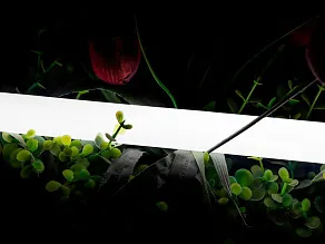 Лента светодиодная SWG PRO  00-00013284