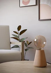 Настольная лампа декоративная Eglo ASBY 44014