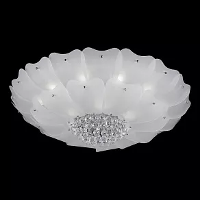 Накладной светильник Lightstar Lobo 804070