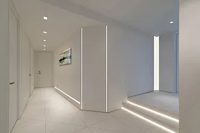 Лента светодиодная Wolta  WLS2835-24W/6500/24H240-01