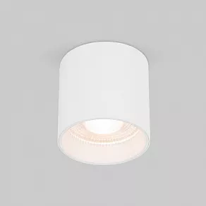Накладной светильник Elektrostandard Orson 25034/LED