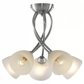 Потолочная люстра Arte Lamp Nikki A2576PL-5SS