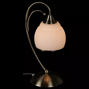 Настольная лампа декоративная Favourite Isola 2586-1T