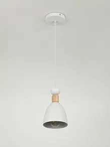 Подвесной светильник Rivoli  5109-201