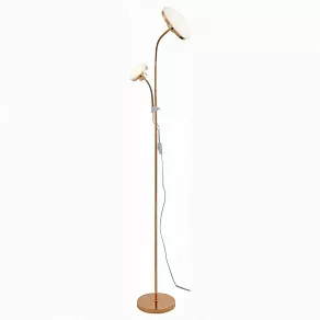 Торшер с подсветкой ST-Luce Pratico SLE120.205.02