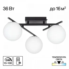 Потолочная люстра Citilux Dorsy CL223132