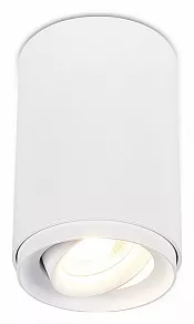 Накладной светильник SIMPLE STORY 2065 2065-1CLW