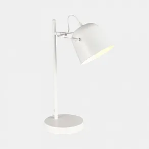 Настольная лампа офисная EVOLUCE Blank SLE1805-504-01