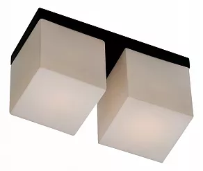 Накладной светильник Odeon Light Cubet 2043/2C
