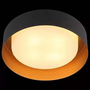 Накладной светильник ST-Luce Chio SL392.422.04