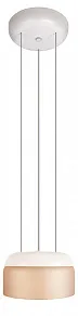 Подвесной светильник Loft it Totem 10466P Amber matte