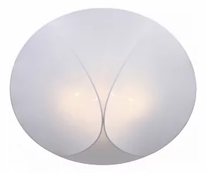 Накладной светильник ST-Luce Tonico SL360.552.04