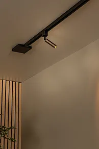 Светильник на штанге Lucide Track 09961/01/97