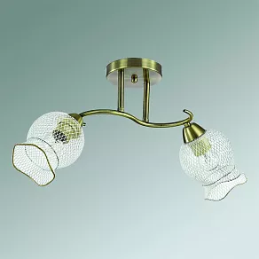 Светильник на штанге Lumion Rozetta 3109/2C