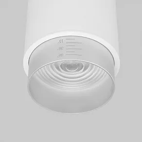 Накладной светильник Elektrostandard Cors 25032/LED