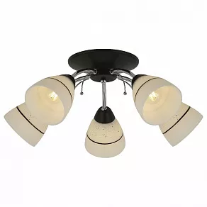 Потолочная люстра TopLight Winnifred TL1255D-05BC