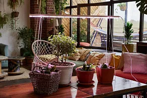 Светильник для растений Uniel ULI-P UL-00010526