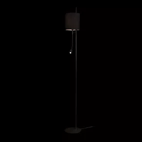 Торшер с подсветкой Loft it Ritz 10253F/B Black