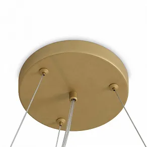 Подвесная люстра Freya Bless FR5567PL-06G