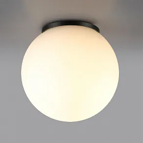 Накладной светильник Odeon Light NATURE 7124/1C