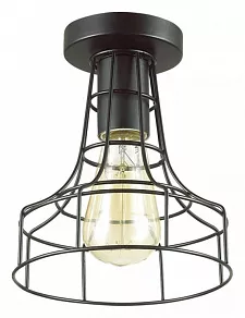 Накладной светильник Lumion Alfred 3639/1C