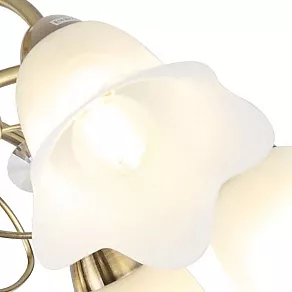Потолочная люстра Rivoli Giardino S8 AB Б0038453