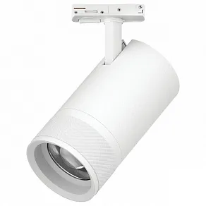 Светильник на штанге Lightstar Canno Pro C4406SS