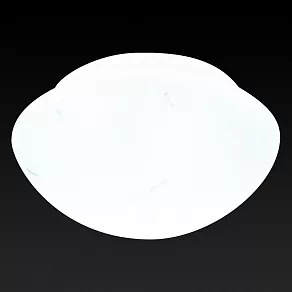 Накладной светильник TopLight Mae TL9401Y-01WH