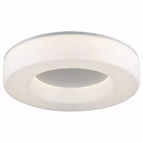 Накладной светильник ST-Luce Lordin SL886.512.01_LED