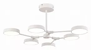 Люстра на штанге EVOLUCE Monta SLE6003-502-06