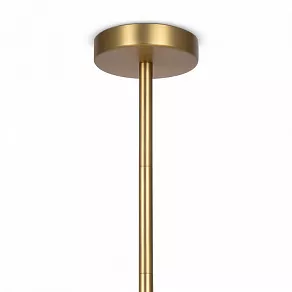 Люстра на штанге Maytoni Tropic MOD164PL-06BS