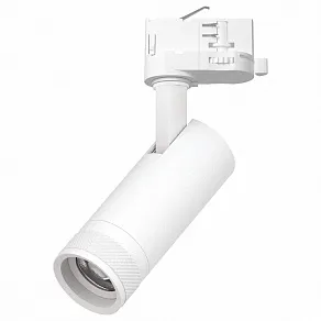 Светильник на штанге Lightstar Canno Pro C4126QT