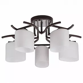 Потолочная люстра Imex 2441 MD.2441-5-S BR+CH